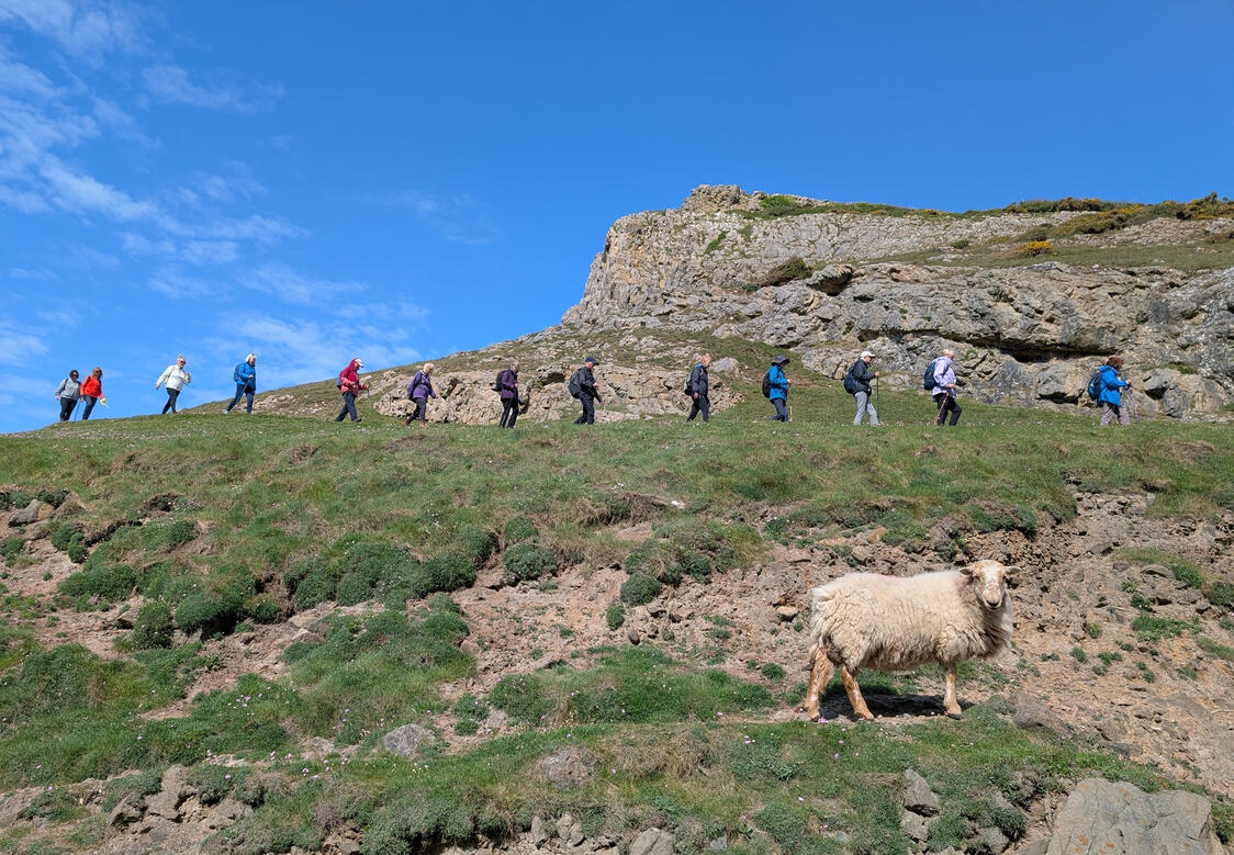 Mewslade Bay